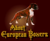 Find out why we love our boxers.