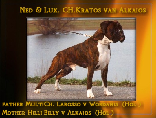 Ned & Lux. CH.Kratos van Alkaios