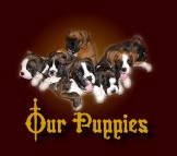 Click to see our puppies of 2007
