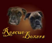 Rescue Boxers