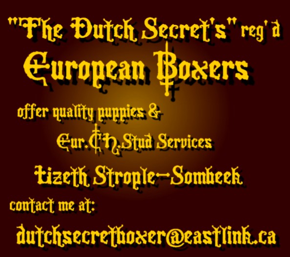 contact The Dutch Secrets Boxers
